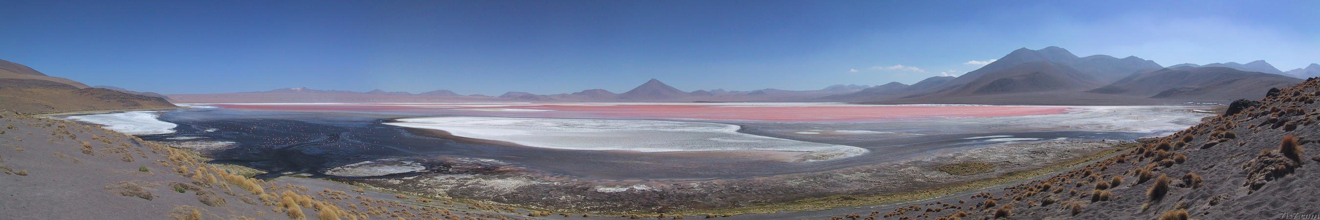 Laguna Colorada