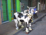 La Boca Cow