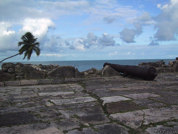 Fort Orange Canon