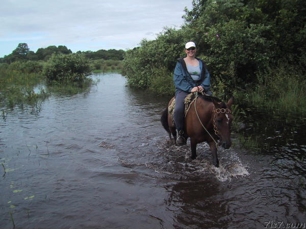 Maris Riding Horse