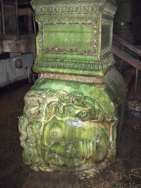 Medusa Head