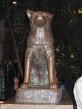 Hachiko (Shibuya)