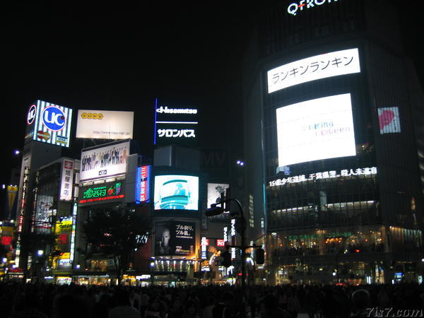 Shibuya Lights and Crowd