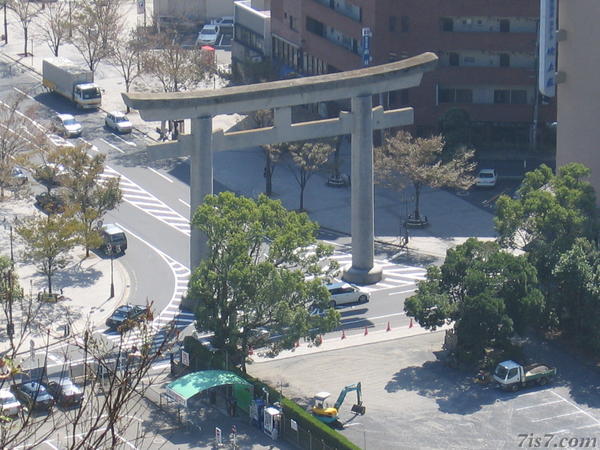 Torii