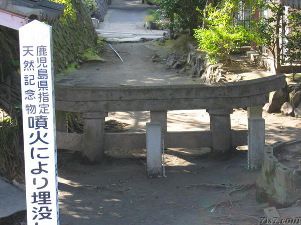 Buried Torii
