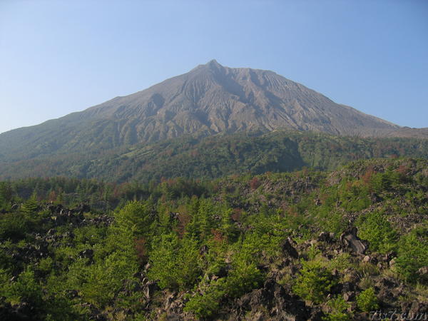 Vegetation around Sakurajima