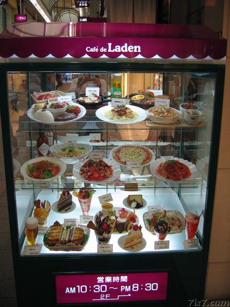 Plastic Food