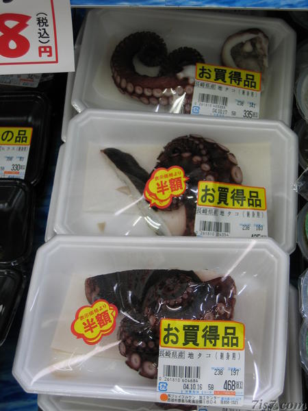 Octopus Arms