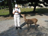 Nara Deer