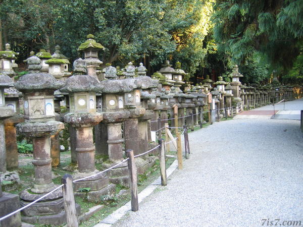 Temple Lanterns
