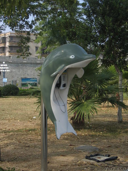 Dolphin Telephone Booth