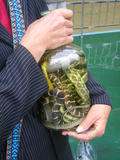 Snakes in Spirit