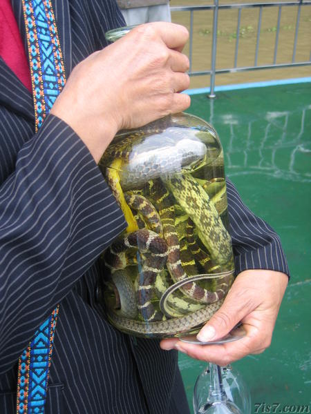 Snakes in Spirit