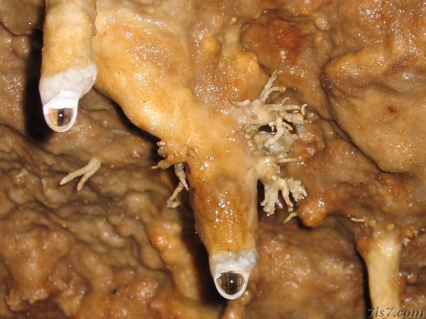 Helectites
