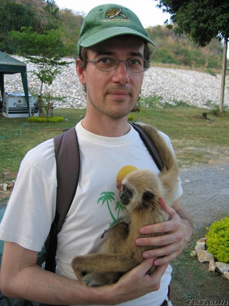 Abandoned Gibbon