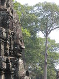 Bayon Giant Face in Profile