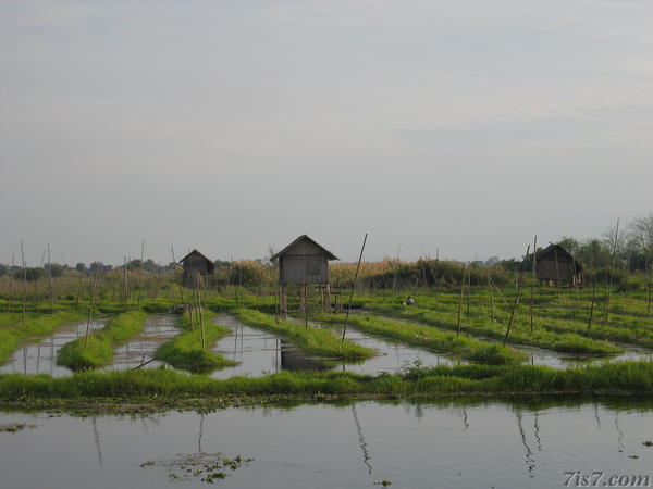 Floating Gardens
