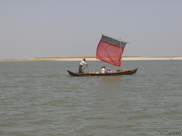 Local Sailing Boat