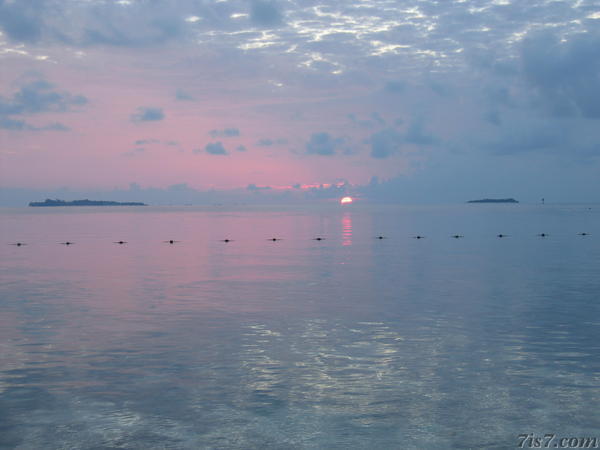 Selingan Sunrise