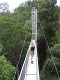 Temburong Canopy Walk