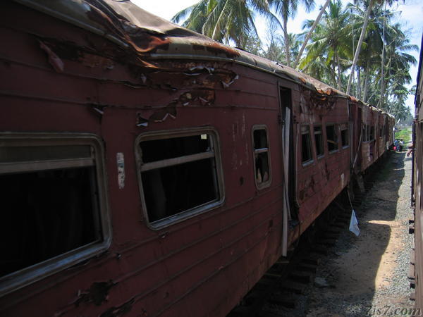 Tsunami Train
