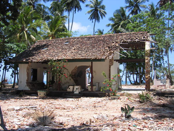 Gutted House