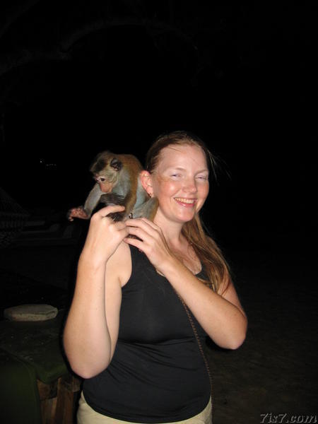 Maris and Monkey