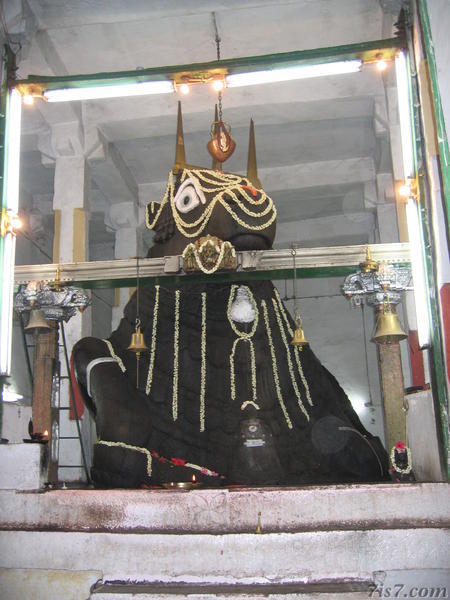 Bangalore Nandi Statue
