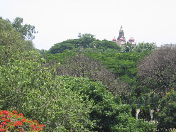 Mysore Palace