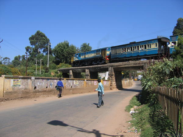Coonoor Tamil Nadu