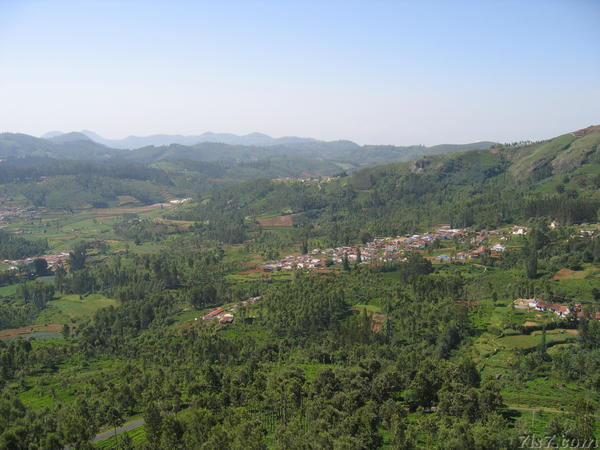 Scenic Train from Ooty to Coonoor