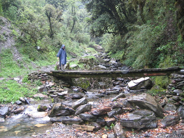 Bridge Across a Stream.