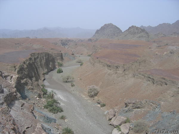 Dry Riverbed