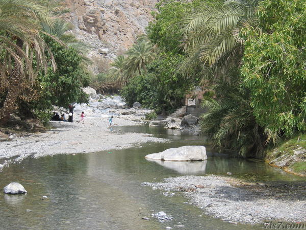 Wadi with Water