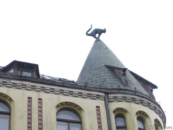 Cat House